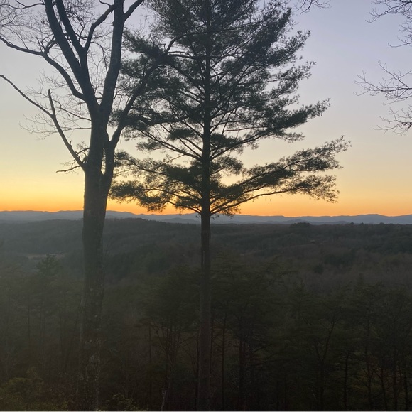 Meet your Posher, Julia - Picture 1 of 1